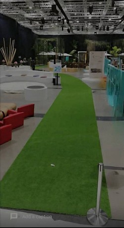 STM Turfs use as a pathway at a convention center.